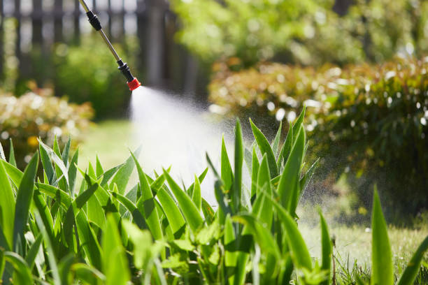 24/7 Emergency Mosquito Control experts in Delaware, OH